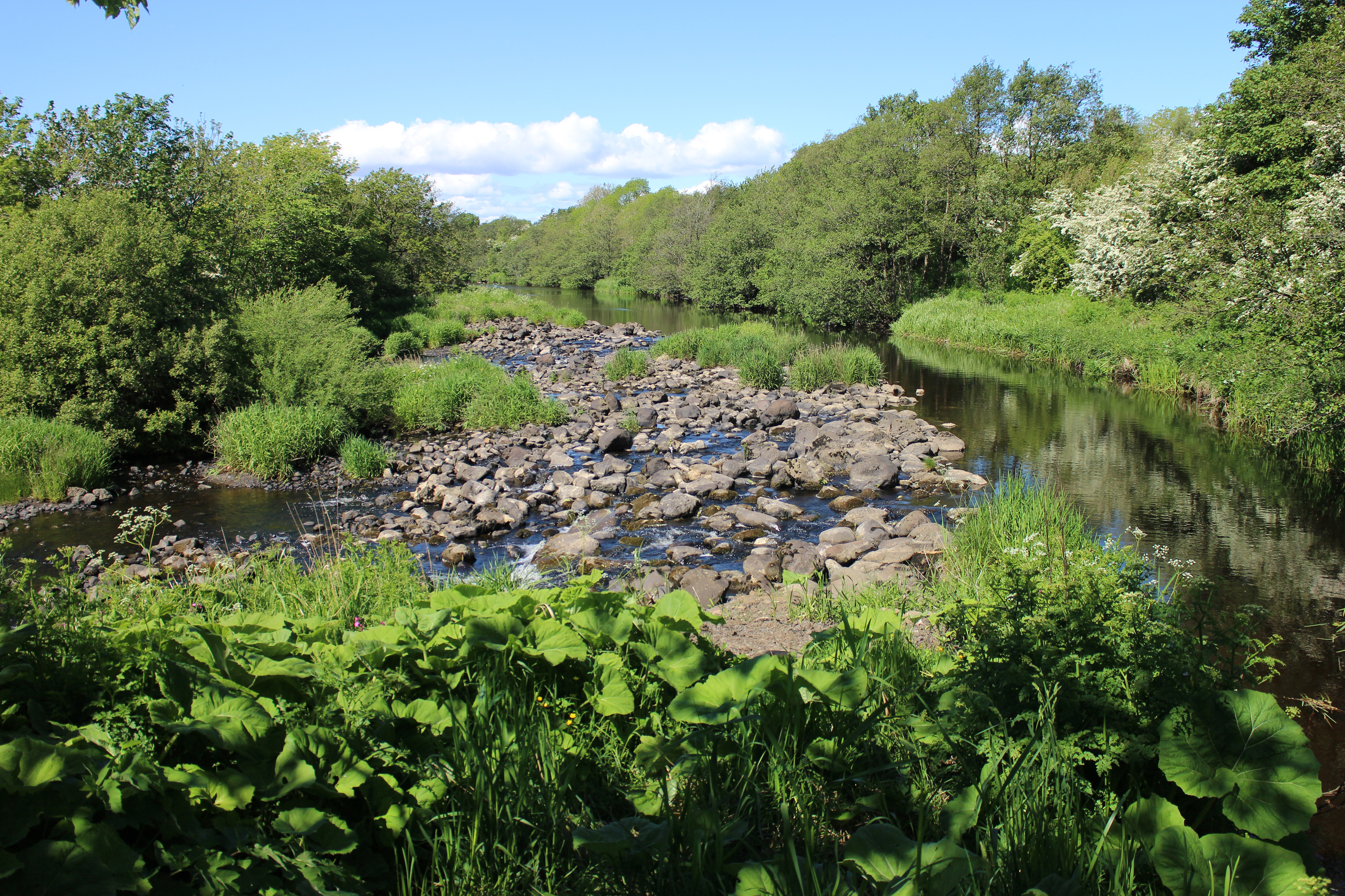 River garnock at dalgarven mill