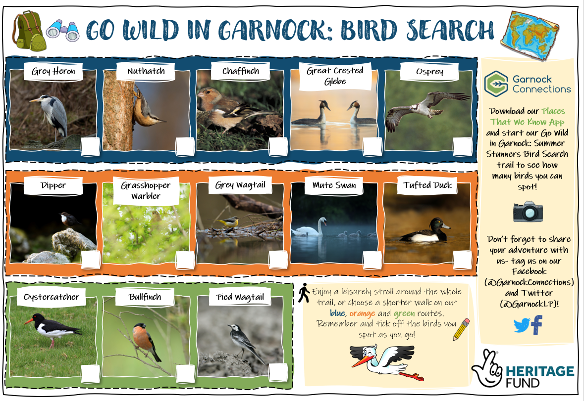 Go wild in garnock: summer stunners birdsearch