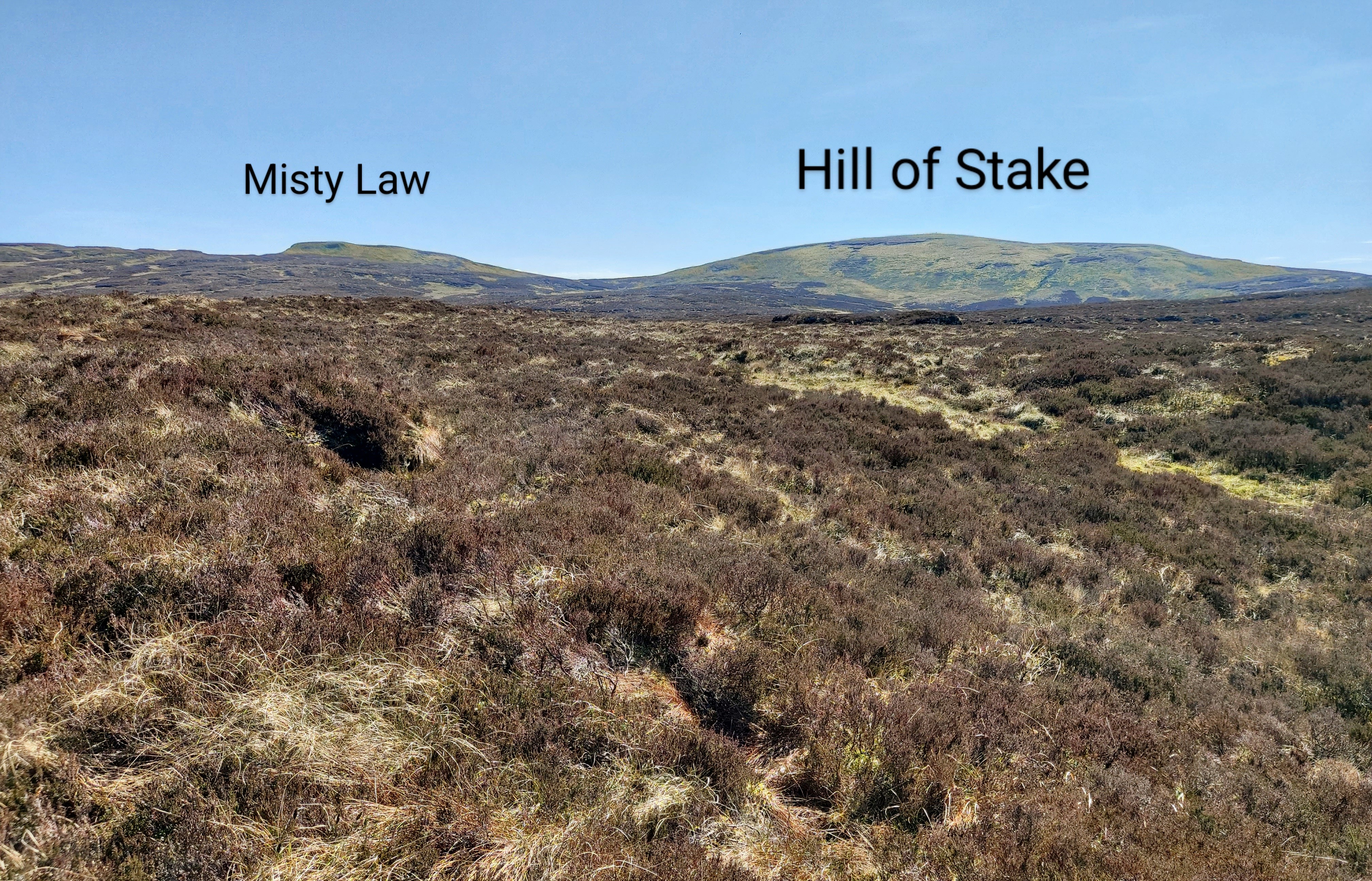 Hill of Stake and Misty Law looking south across the Queenside Muir