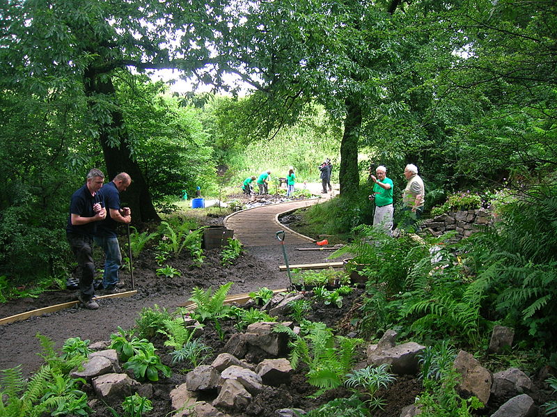 The Vale View Gardens fernery, Barrmill Park